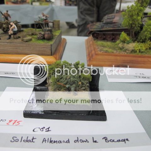 Concours 1.72 mes photos  Saumur2014504