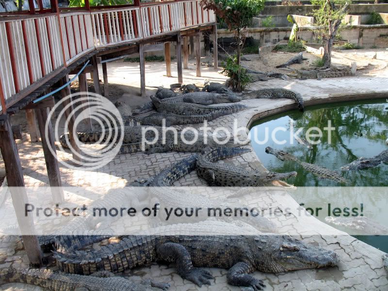 Thailande , de petites vacances ! Crocodilefarm