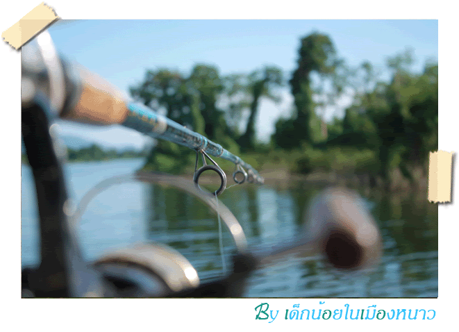 พะเยา รอเธอ