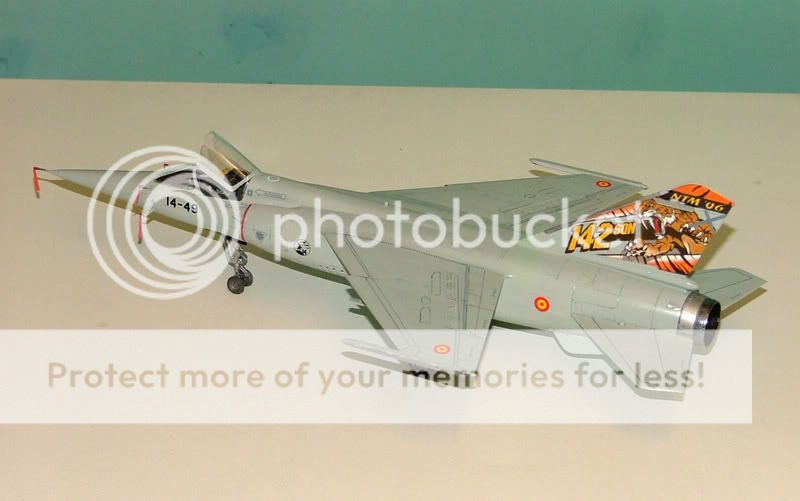 Mirage F1 M 1/48 nato tiger meet 06 albacete DSCF8101