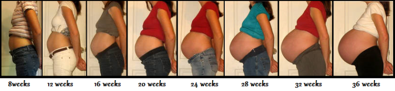 8 недель беременности вторая беременность. Живот при беременности. Живот по неделям. Живот по месяцам беременности с двойней. Рост живота.