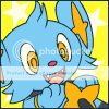 Galeria 100x100 Shinx