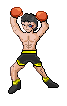 [PokeCommunity.com] Vaati's sprites