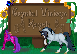 Crystal Visions Ranch