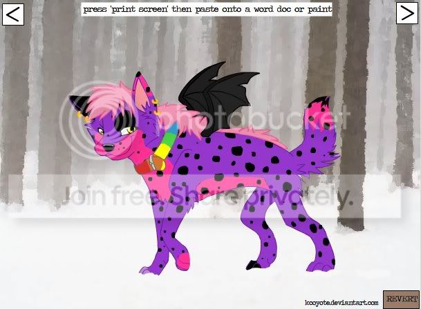 User Image