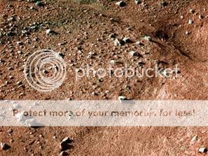 Phoenix makes picture-perfect Mars landing Mars-tease