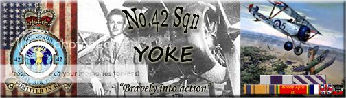 Award: Distinguished Flying Medal - Yoke 42sqn_YOKE_ribbons_zpsb41483ac