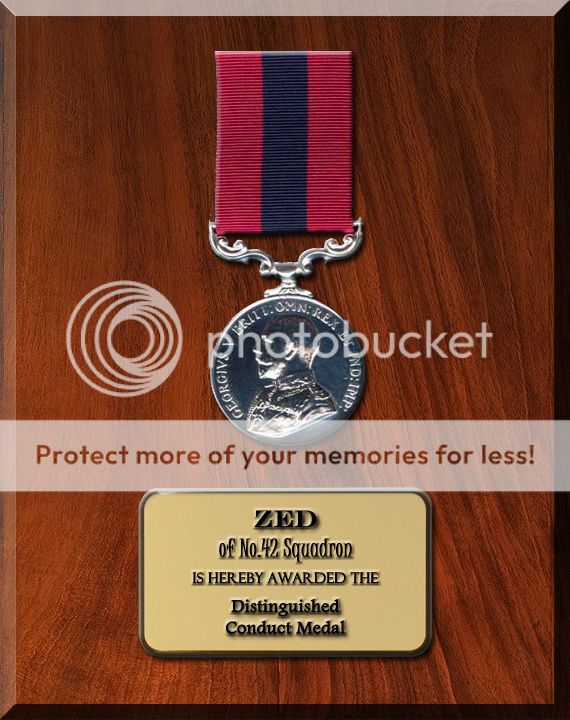 Award: Distinguished Conduct Medal -- Zed DCM_Zed_zpsbc3ede3a