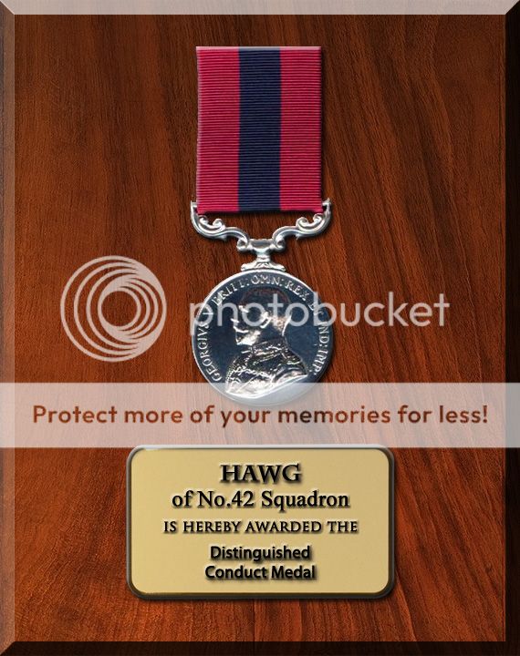 Award: Distinguished Conduct Medal - Hawg DCM_Hawg_zpsaa17fb57