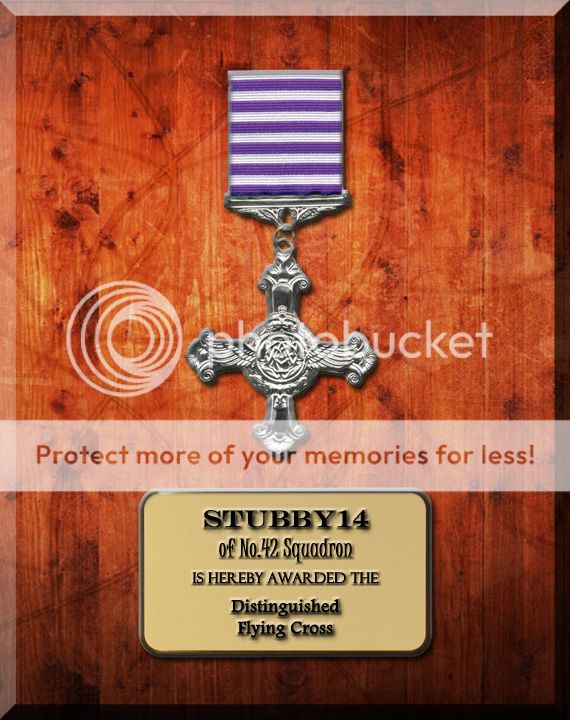 Award: Distinguished Flying Cross - Stubby DFC_Stubby14_zpse0c2bcfb
