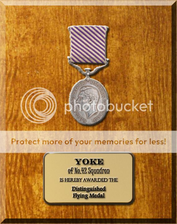 Award: Distinguished Flying Medal - Yoke DFM_Yoke_zpsbde6bc18