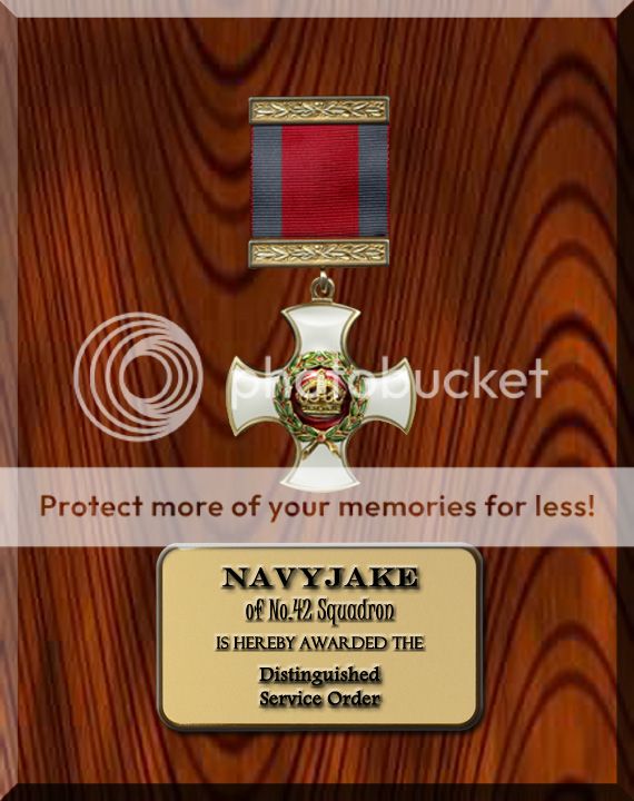 Award: Distinguished Service Order - NavyJake DSO_NavyJake_zps03f72021