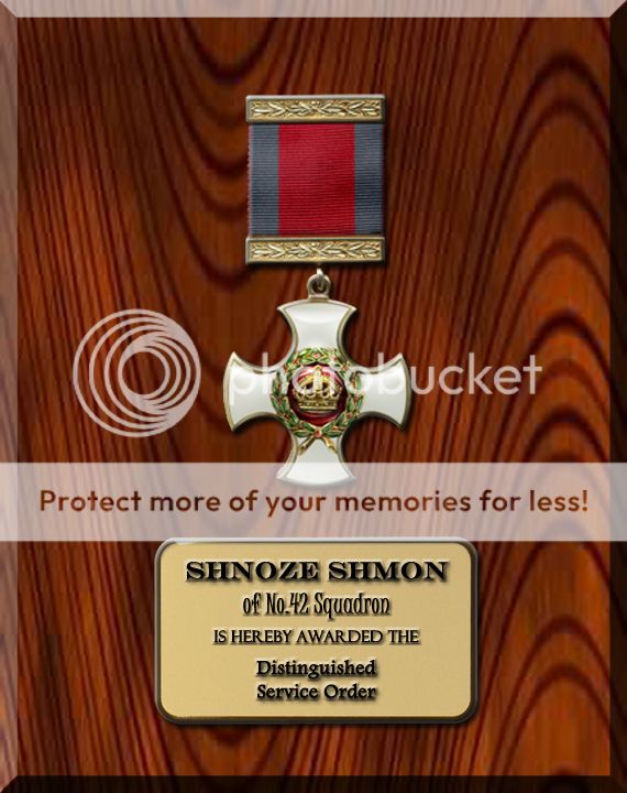 Award: Distinguished Service Order -- Shnoze Shmon SS_DSO_zpsbd9383b9