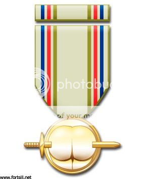 No.42 Sqn Official Medals & Ribbons: Criteria  PITA