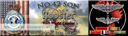 Award: Meritorious Unit (Flight) Commendation - Red Flight Rooster_5ribbons_zpscf0d3531