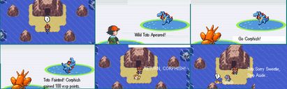 [PokeCommunity.com] Ash/Satoshi Fan Club