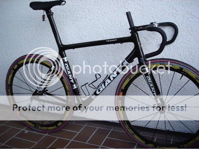 2006 giant tcr limited