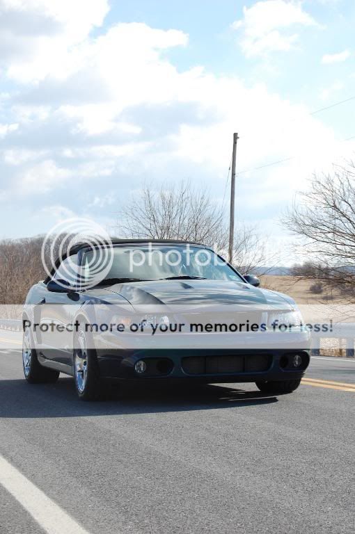 Video of a cruise Sunday with a bunch of Exotics. DSC_0371