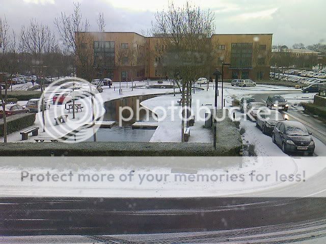 Snow Photo-0710