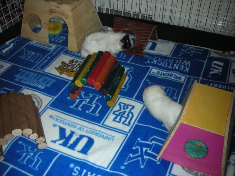 DSCN3790.jpg