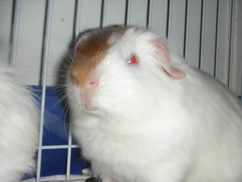 DSCN3752.jpg