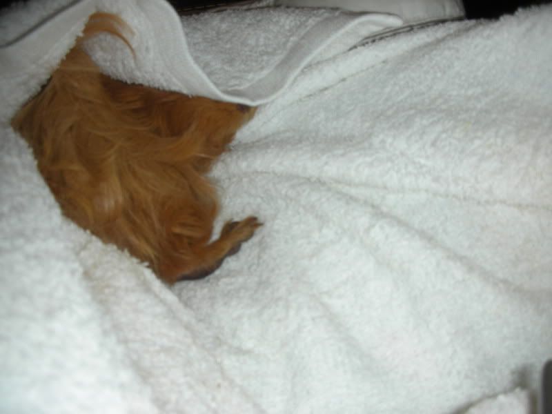 DSCN3676.jpg