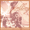 Seishirou/Subaru - Falling blossoms