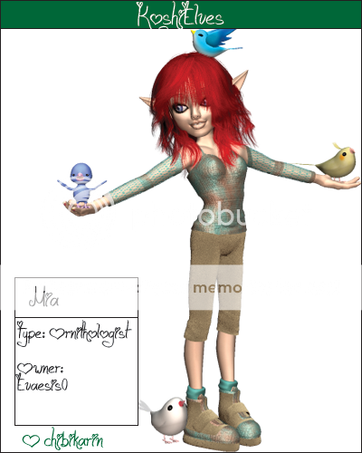 User Image