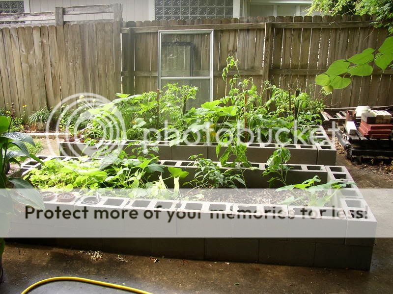 Raised beds on concrete pad