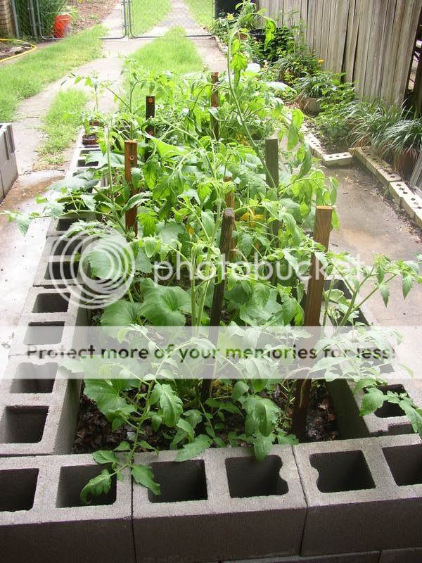 Raised beds on concrete pad