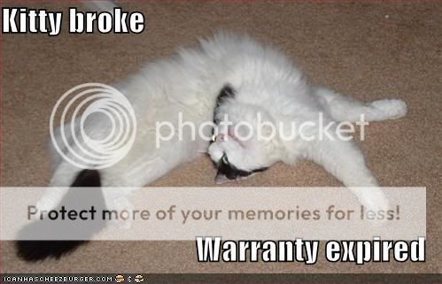 Shadowpaw's Funny cat pic archive Funny-pictures-bendy-cat
