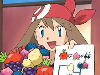 [PokeCommunity.com] The May/Haruka Fan Club