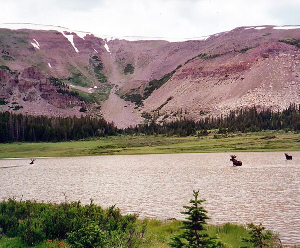 Stateline Reservoir - Utah Wildlife Network