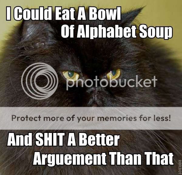 alphabet_soup_cat2.jpg