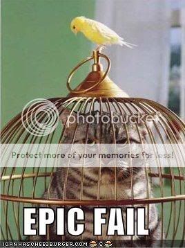 OMG lol FAIL Funny-pictures-bird-cat-cage