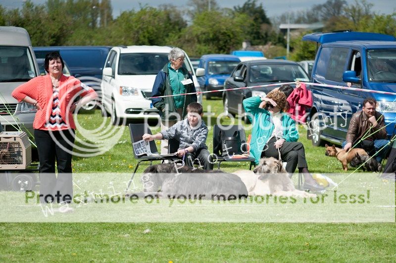 Fermoy CC dog show in Clonmel (LOTS of pics!) DSC_1996_wm_zpsbd0fc9f3