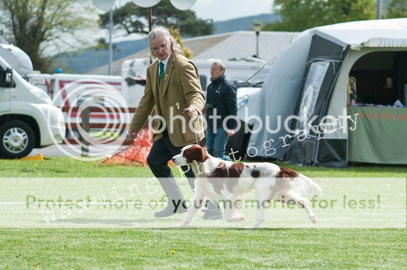Fermoy CC dog show in Clonmel (LOTS of pics!) DSC_2009_wm_zps6b205cdf