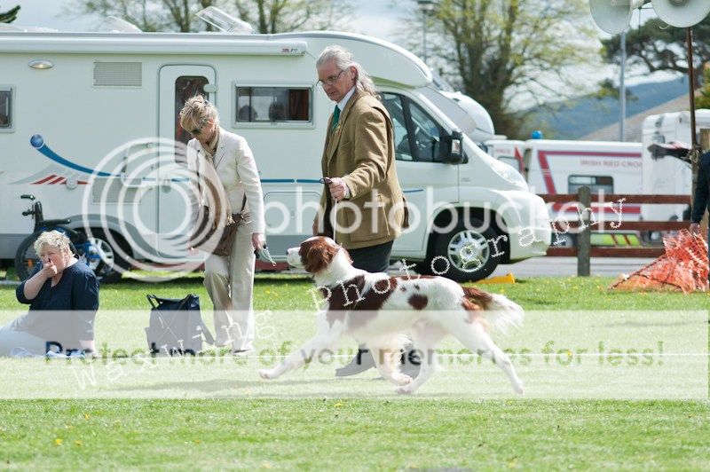 Fermoy CC dog show in Clonmel (LOTS of pics!) DSC_2011_wm_zps8cb5e43b