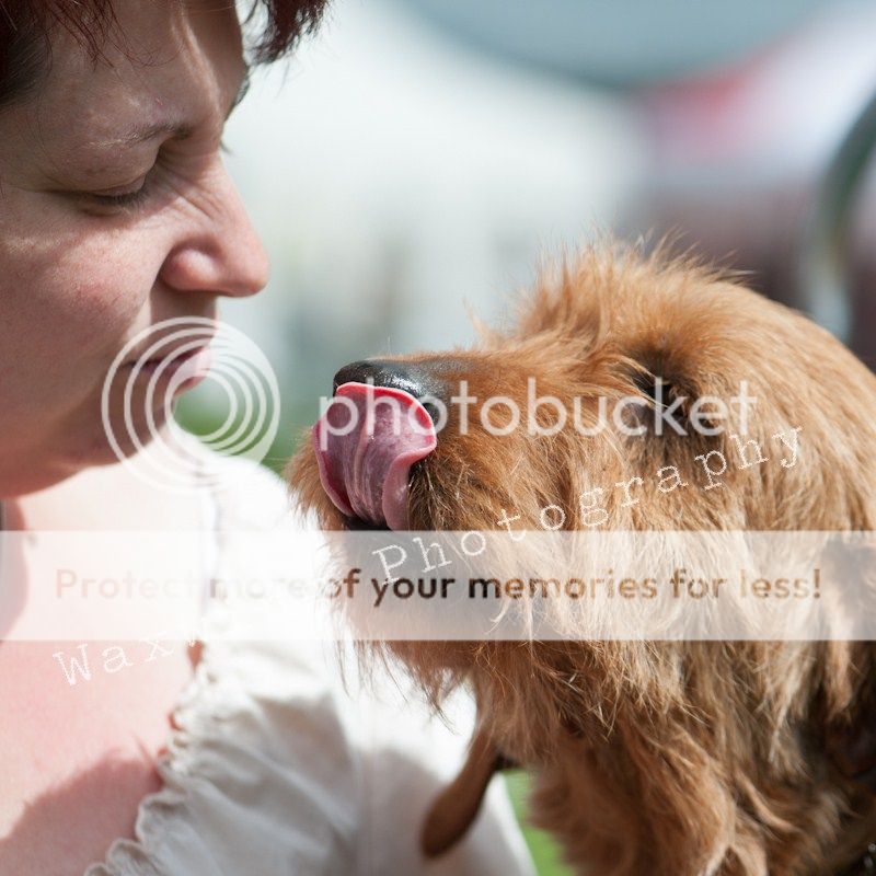 Fermoy CC dog show in Clonmel (LOTS of pics!) DSC_2012_wm_zps262ff8e9