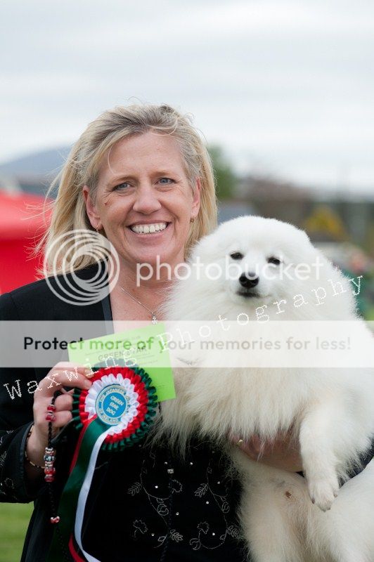 Fermoy CC dog show in Clonmel (LOTS of pics!) DSC_2155_wm_zps184fe0d7