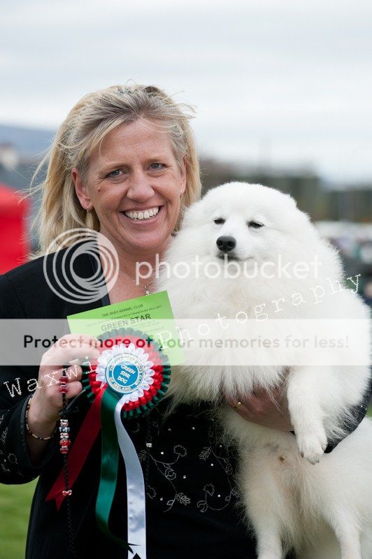 Fermoy CC dog show in Clonmel (LOTS of pics!) DSC_2156_wm_zpsc7318403
