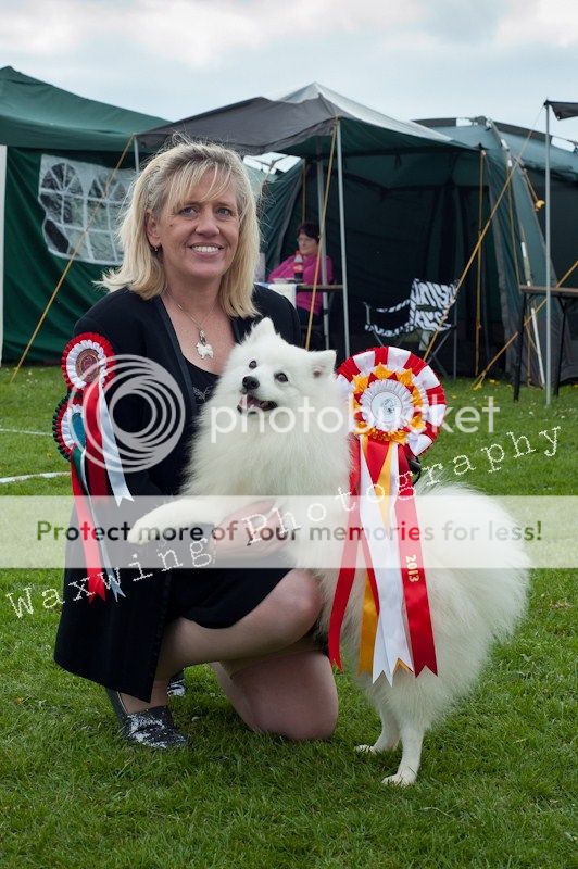 Fermoy CC dog show in Clonmel (LOTS of pics!) DSC_2190_wm_zps725be1c5