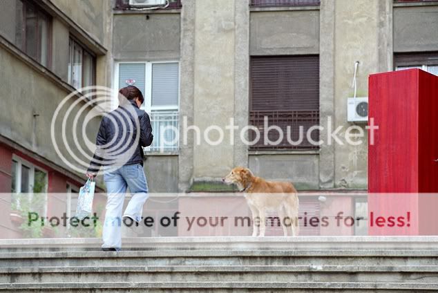 les promenades du photographe Vlad Eftenie Efcutz