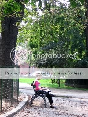 Bucarest aux mille visages Tipaparc