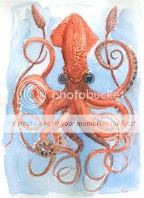 Touma Meweska Giant-squid