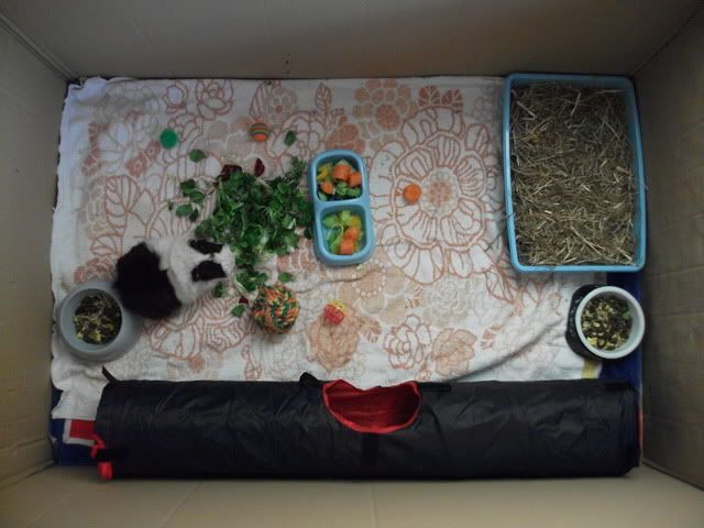 DSCF0233.jpg