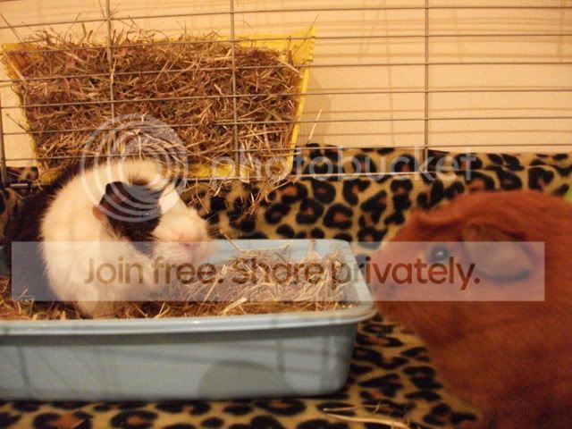DSCF0256.jpg