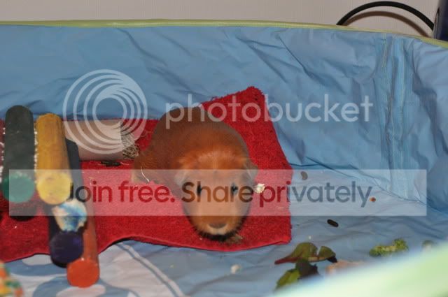 DSC_00112.jpg