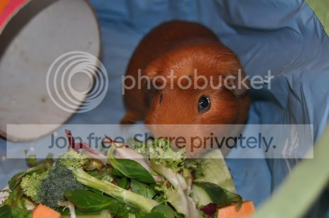 DSC_00123.jpg