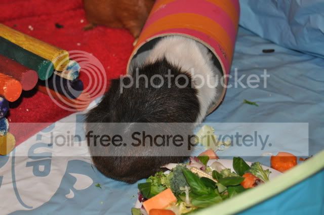 DSC_00282.jpg